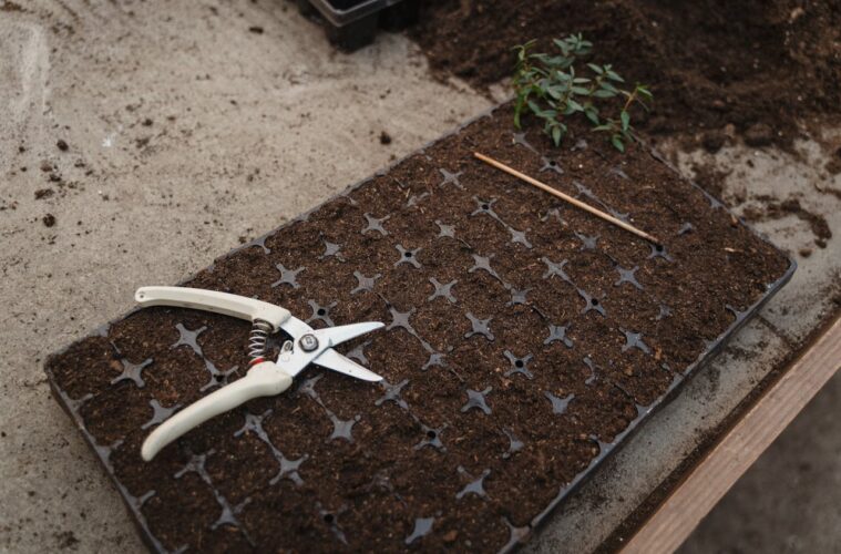 Het belang van goed tuingereedschap voor een gezonde tuin